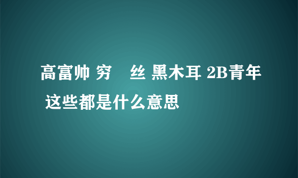 高富帅 穷屌丝 黑木耳 2B青年 这些都是什么意思