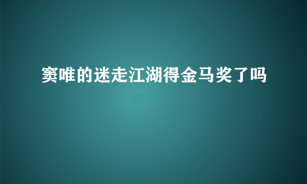 窦唯的迷走江湖得金马奖了吗