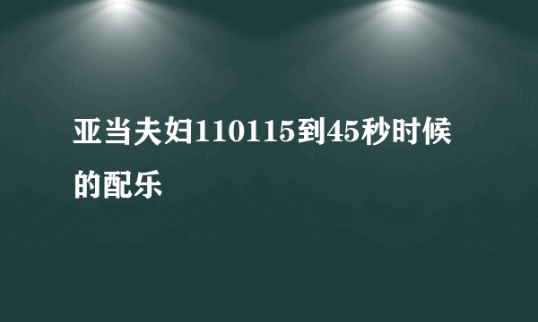 亚当夫妇110115到45秒时候的配乐