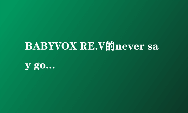 BABYVOX RE.V的never say goodbye韩文歌词