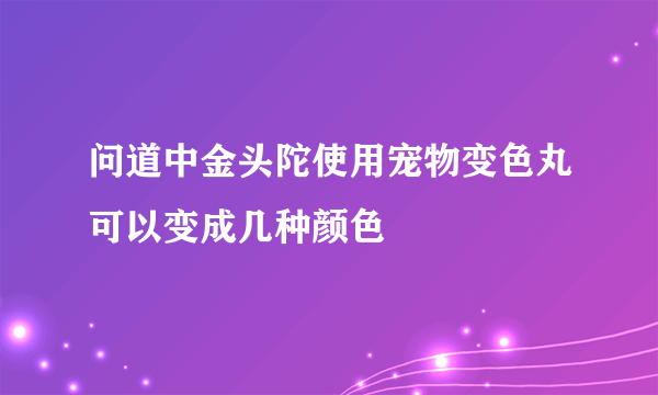 问道中金头陀使用宠物变色丸可以变成几种颜色