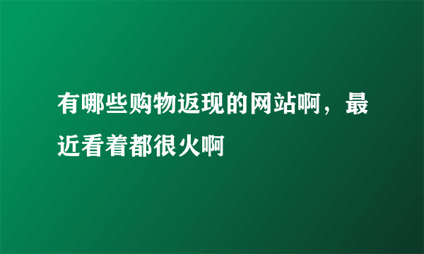 有哪些购物返现的网站啊，最近看着都很火啊