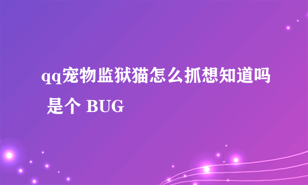 qq宠物监狱猫怎么抓想知道吗 是个 BUG