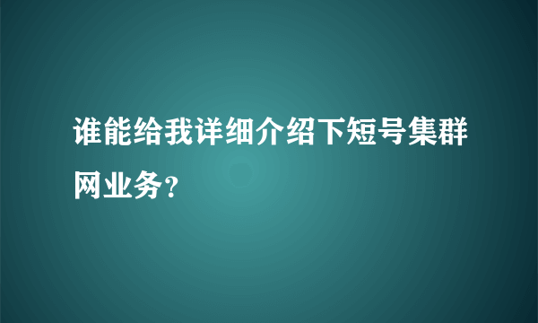 谁能给我详细介绍下短号集群网业务？