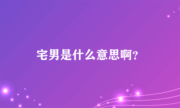 宅男是什么意思啊？