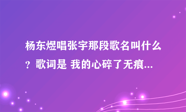 杨东煜唱张宇那段歌名叫什么？歌词是 我的心碎了无痕 用心良苦却一言难尽