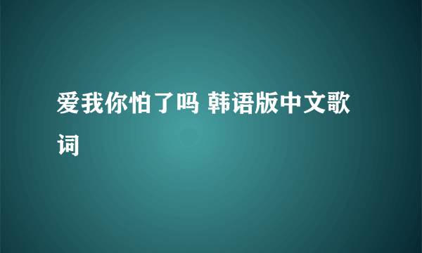 爱我你怕了吗 韩语版中文歌词