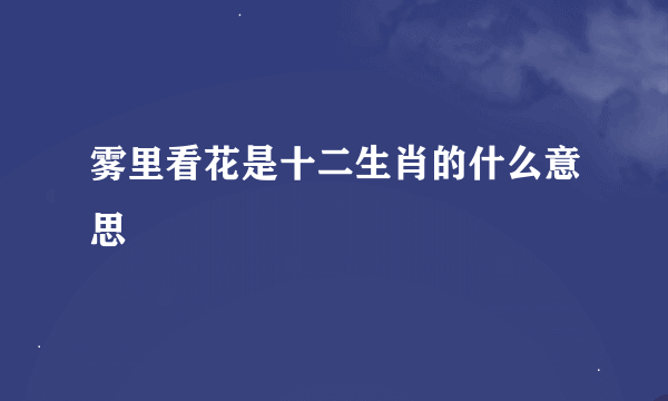 雾里看花是十二生肖的什么意思