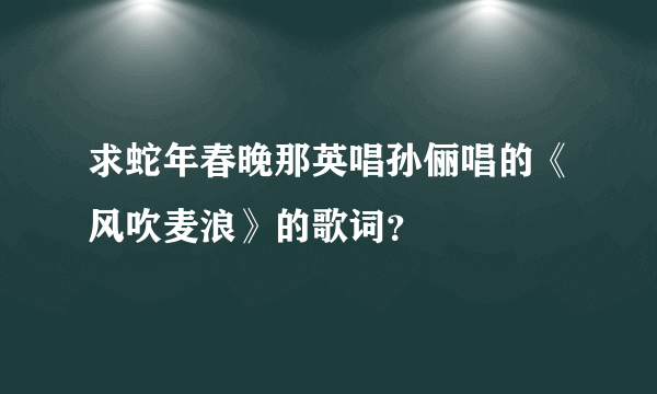 求蛇年春晚那英唱孙俪唱的《风吹麦浪》的歌词？