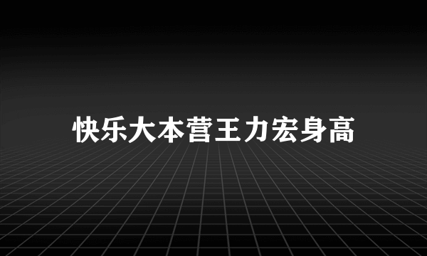 快乐大本营王力宏身高