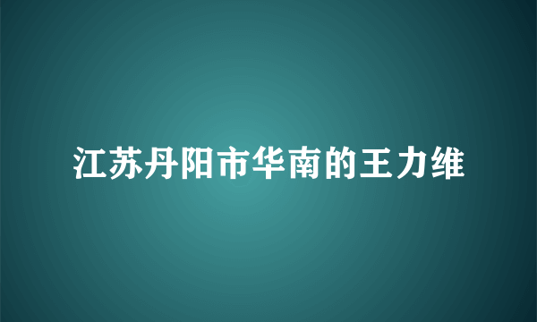 江苏丹阳市华南的王力维