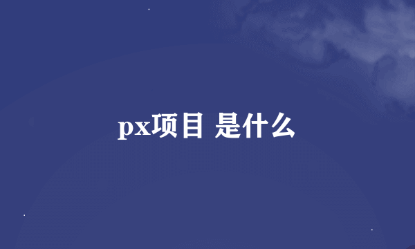 px项目 是什么