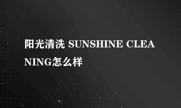 阳光清洗 SUNSHINE CLEANING怎么样