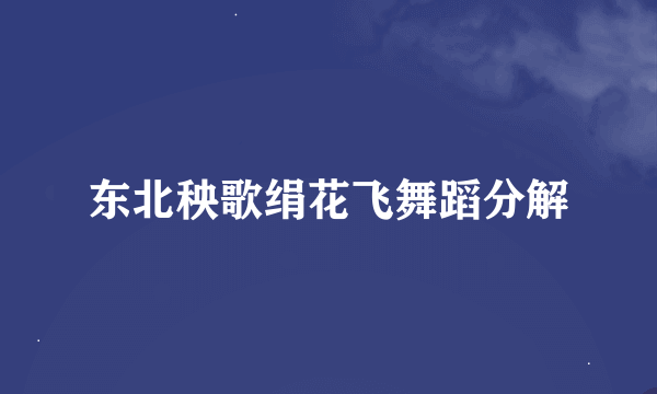 东北秧歌绢花飞舞蹈分解