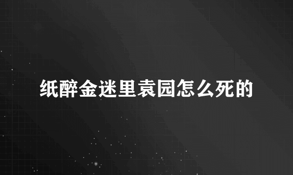 纸醉金迷里袁园怎么死的