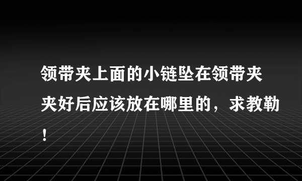 领带夹上面的小链坠在领带夹夹好后应该放在哪里的，求教勒！