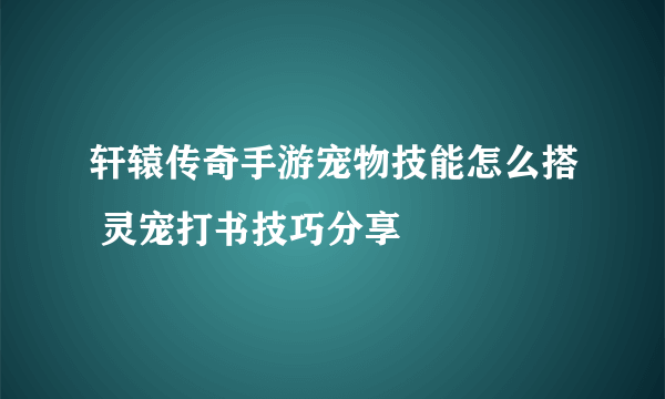 轩辕传奇手游宠物技能怎么搭 灵宠打书技巧分享