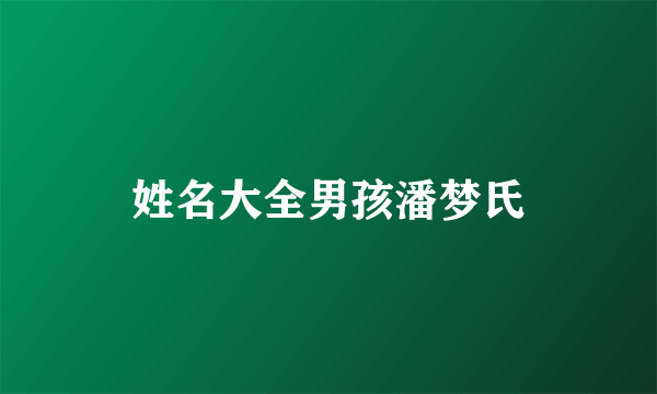 姓名大全男孩潘梦氏