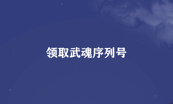 领取武魂序列号