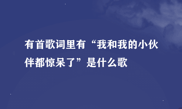 有首歌词里有“我和我的小伙伴都惊呆了”是什么歌