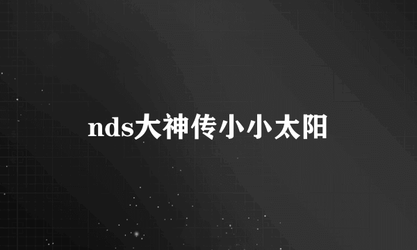 nds大神传小小太阳