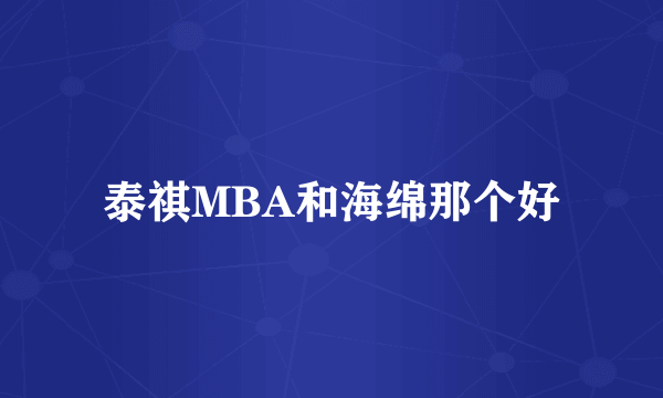 泰祺MBA和海绵那个好