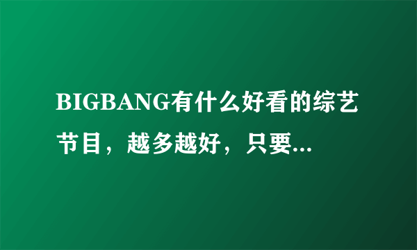 BIGBANG有什么好看的综艺节目，越多越好，只要好看，跪求。