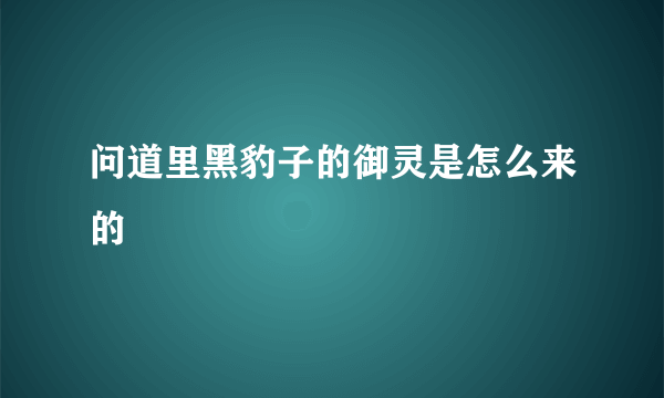 问道里黑豹子的御灵是怎么来的