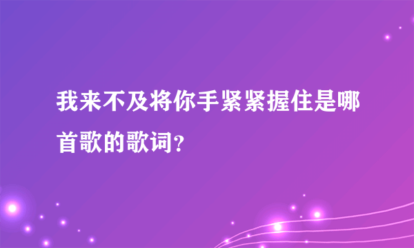 我来不及将你手紧紧握住是哪首歌的歌词？