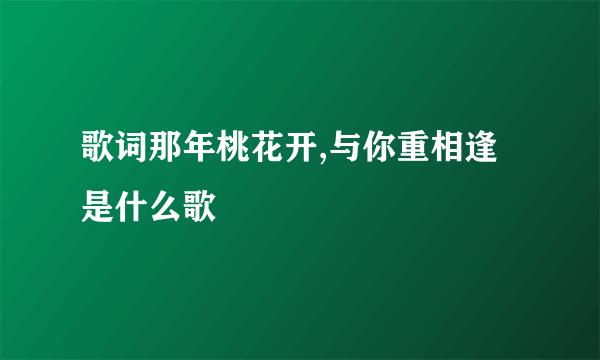 歌词那年桃花开,与你重相逢是什么歌