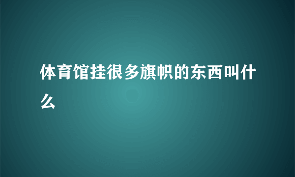 体育馆挂很多旗帜的东西叫什么