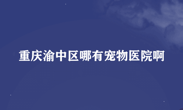 重庆渝中区哪有宠物医院啊