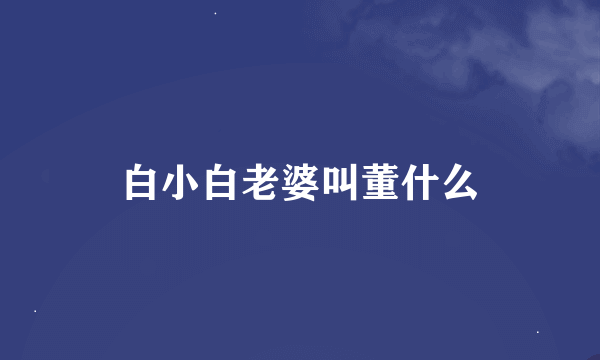 白小白老婆叫董什么