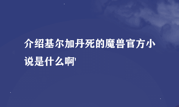 介绍基尔加丹死的魔兽官方小说是什么啊'