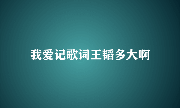 我爱记歌词王韬多大啊