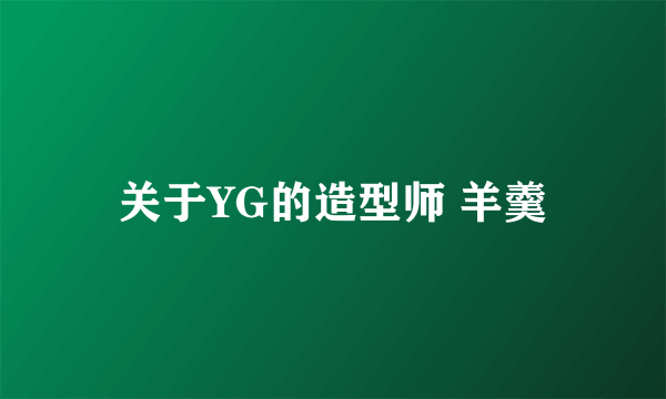 关于YG的造型师 羊羹