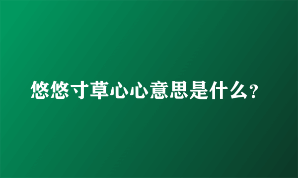 悠悠寸草心心意思是什么？