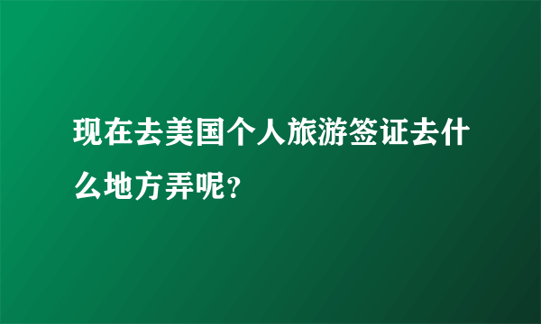 现在去美国个人旅游签证去什么地方弄呢？