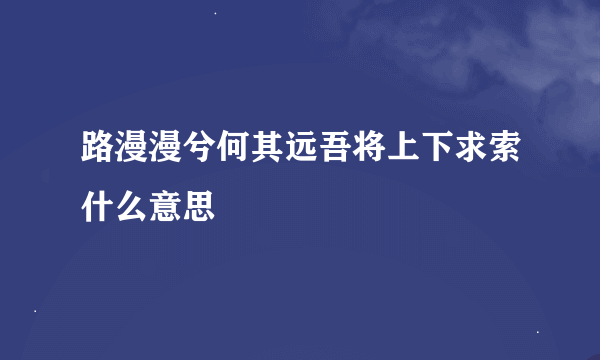 路漫漫兮何其远吾将上下求索什么意思