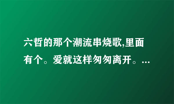 六哲的那个潮流串烧歌,里面有个。爱就这样匆匆离开。。这个是什么歌啊??