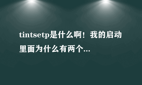 tintsetp是什么啊！我的启动里面为什么有两个这个东西可以不启动一个吗？谢谢你们了