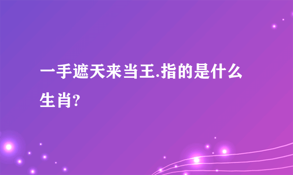 一手遮天来当王.指的是什么生肖?