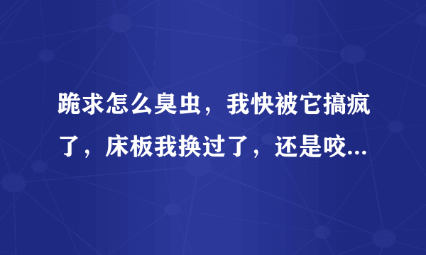 跪求怎么臭虫，我快被它搞疯了，床板我换过了，还是咬，求老天派个英雄救救我啊？