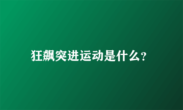 狂飙突进运动是什么？