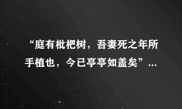 “庭有枇杷树，吾妻死之年所手植也，今已亭亭如盖矣”是什么诗？求全篇