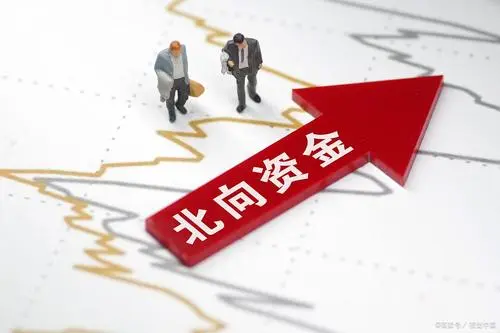 如何查看北向资金历史的分时图？