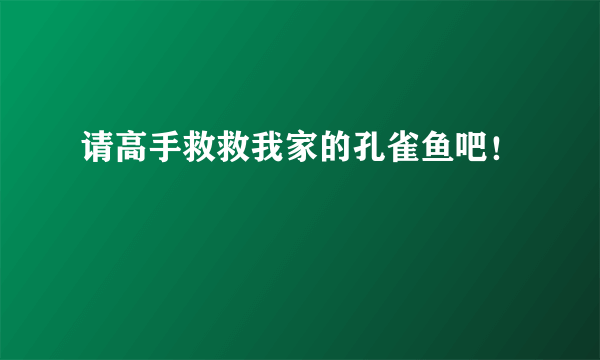 请高手救救我家的孔雀鱼吧！