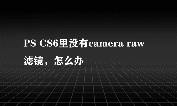 PS CS6里没有camera raw 滤镜，怎么办