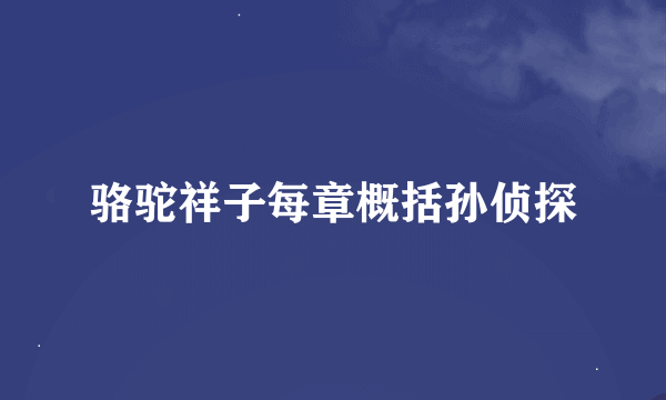 骆驼祥子每章概括孙侦探