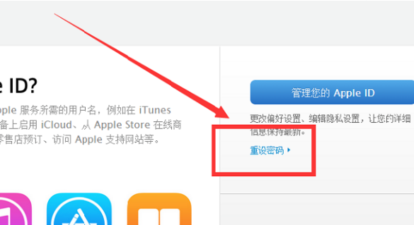 reportaproblem.apple.cm什么意思？